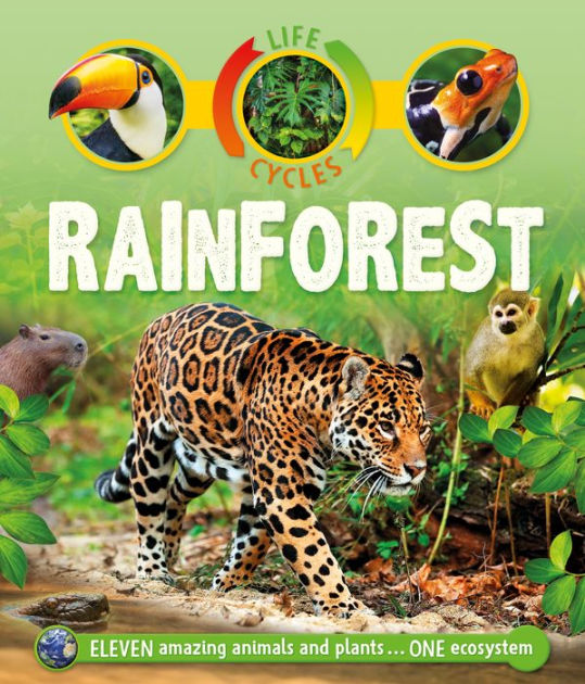 Rainforest (Kingfisher Lifecycles Series) by Sean Callery, Paperback ...