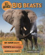 Big Beasts (In Focus Series)