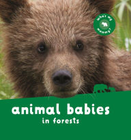 Title: Animal Babies in Forests, Author: Editors of Kingfisher