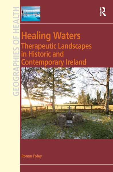 Healing Waters: Therapeutic Landscapes in Historic and Contemporary Ireland / Edition 1