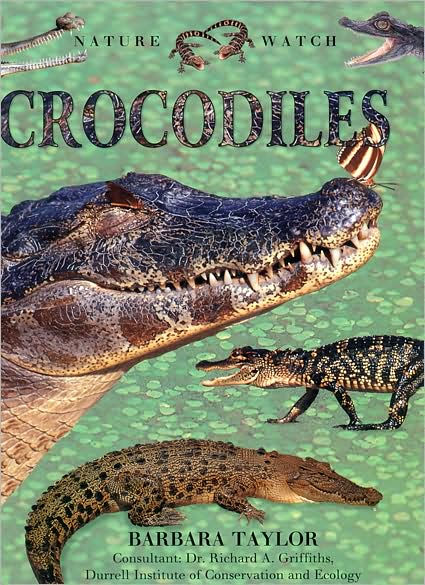 Crocodiles by Trace Taylor, Paperback | Barnes & Noble®