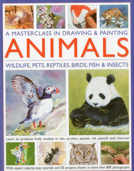 A Masterclass in Drawing and Painting Animals: Wildlife, pets, reptiles, birds, fish and insects