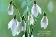 Title: Card Box of 20 Notecards and Envelopes: Snowdrop: A delightful pack of 20 high-quality flower gift cards and decorative envelopes, Author: Peony Press