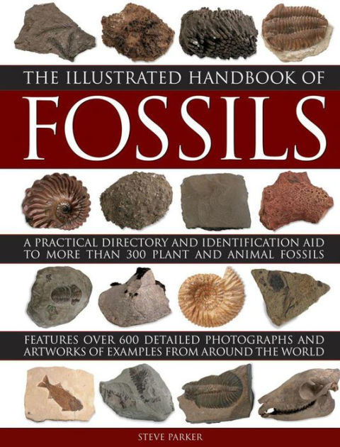 The Illustrated Handbook of Fossils: A Practical Directory And ...