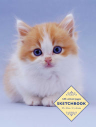Title: Sketchbook: Kitten: 128 Unlined Pages, Author: Peony Press