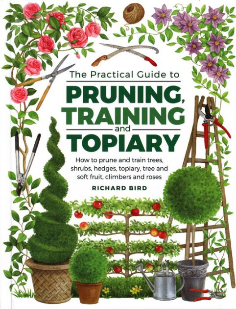 Practical Guide to Pruning, Training and Topiary: How To Prune And Train Trees, Shrubs, Hedges, Topiary, Tree And Soft Fruit, Climbers And Roses|Hardcover