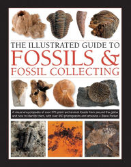 Download free new audio books The Illustrated Guide to Fossils & Fossil Collecting: A Reference Guide to Over 375 Plant and Animal Fossils from Around the Globe and How to Identify Them, with Over 950 Photographs and Artworks PDB RTF DJVU by Steve Parker