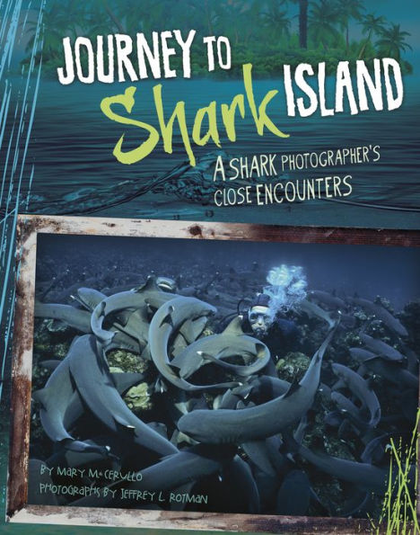 Journey to Shark Island: A Shark Photographer's Close Encounters