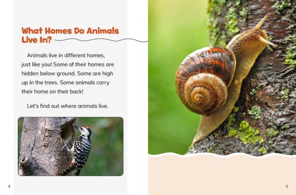 Animals Live in Homes