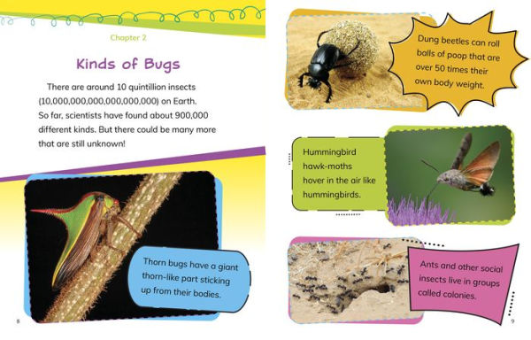 Read All About Bugs