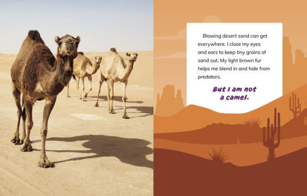 I Am Not a Camel: Animals in the Desert