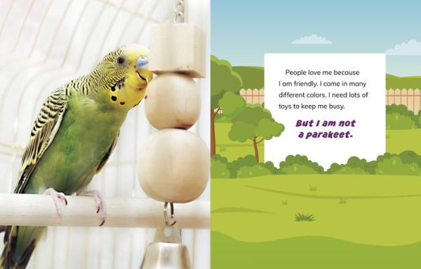 I Am Not a Dog: Pet Animals