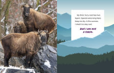 Alternative view 2 of I Am Not a Snow Leopard: Animals in the Mountains
