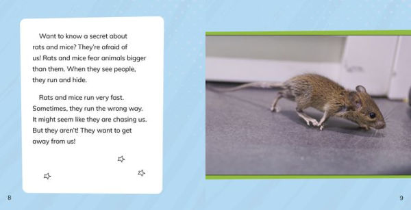 Facing Your Fear of Rats and Mice