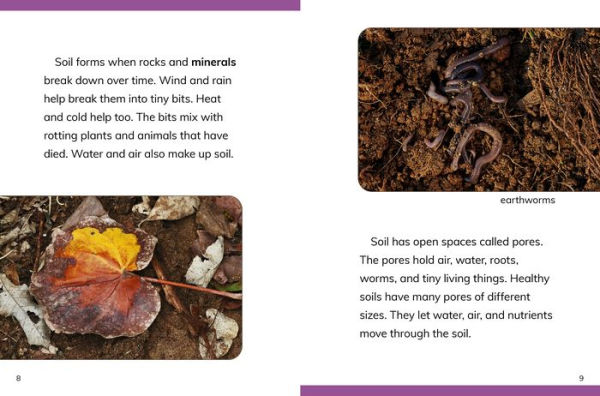 Why Do We Need Soil?