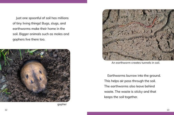 Why Do We Need Soil?