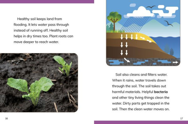 Why Do We Need Soil?