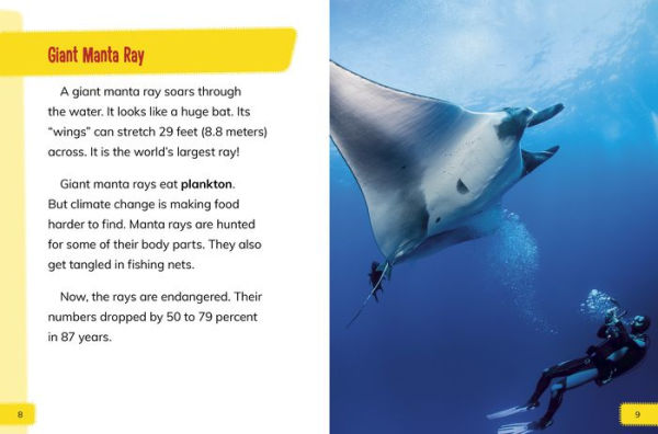 Endangered Fish Around the World