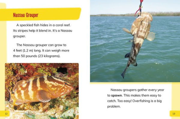 Endangered Fish Around the World