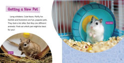 Alternative view 2 of Is a Hamster or a Gerbil the Pet for Me?
