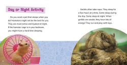 Alternative view 4 of Is a Hamster or a Gerbil the Pet for Me?