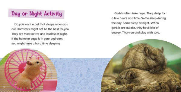 Is a Hamster or a Gerbil the Pet for Me?