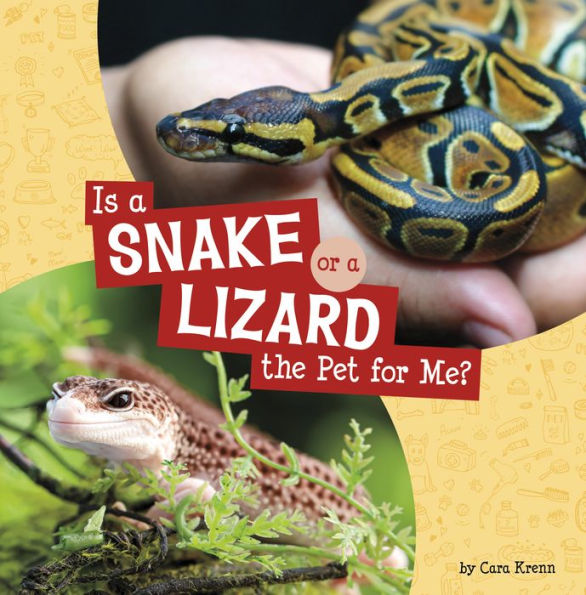 Is a Snake or Lizard the Pet for Me?