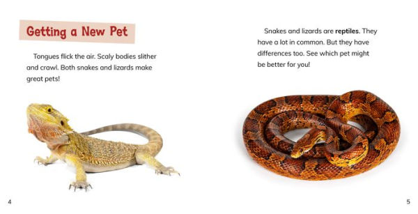 Is a Snake or Lizard the Pet for Me?