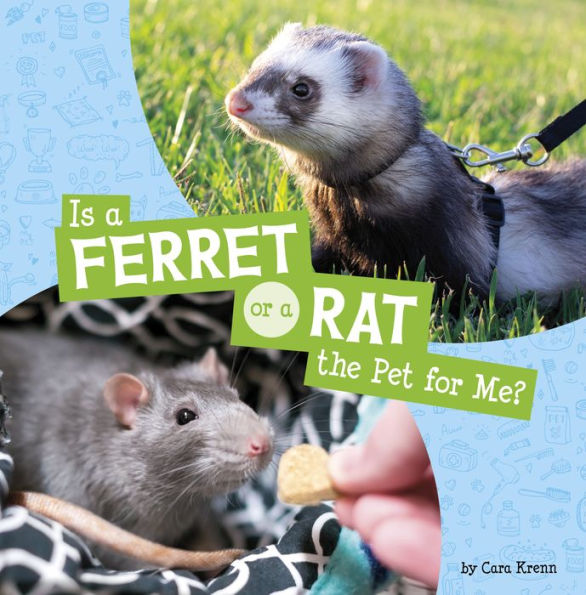 Is a Ferret or Rat the Pet for Me?