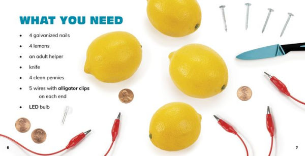 Make Your Own Lemon Battery