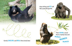 Alternative view 3 of Monkeys Swing and Cheetahs Sprint: Spotting Motion Words at the Zoo