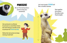 Alternative view 5 of Monkeys Swing and Cheetahs Sprint: Spotting Motion Words at the Zoo