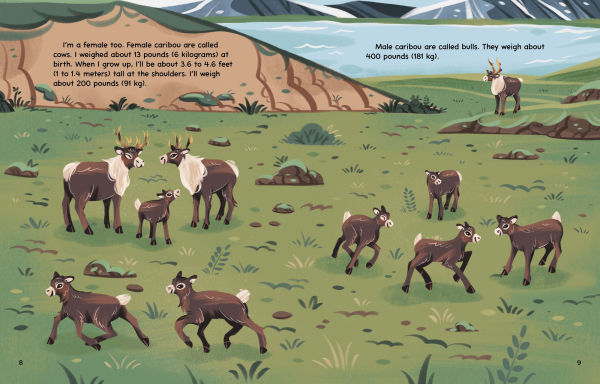 My Caribou Migration Journey