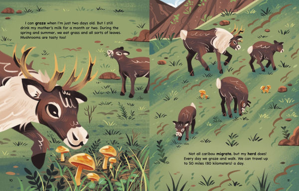 My Caribou Migration Journey