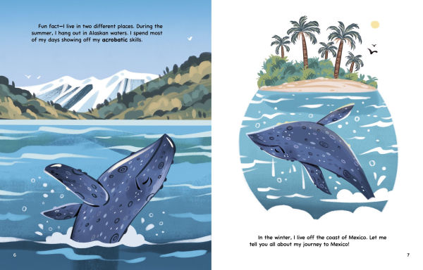 My Gray Whale Migration Journey