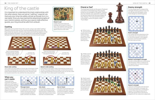 Chess Notation: cheat sheet! – Mike Basman's Chess Shop