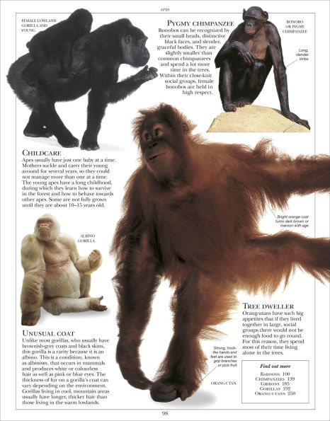 Encyclopedia of Animals