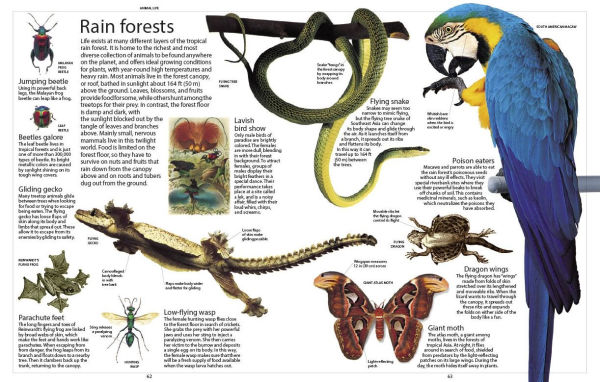 Encyclopedia of Animals
