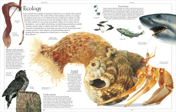 Encyclopedia of Animals