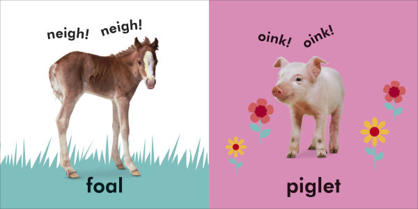 Baby Touch and Feel: Baby Animals