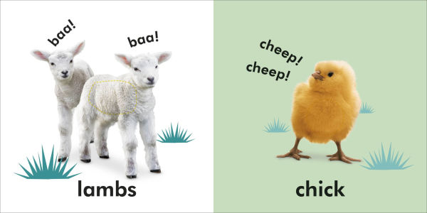 Baby Touch and Feel: Baby Animals