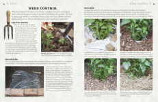 Alternative view 13 of The Cook's Herb Garden: Grow, Harvest, Cook