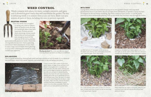 The Cook's Herb Garden: Grow, Harvest, Cook