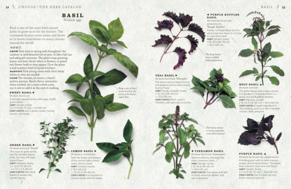 The Cook's Herb Garden: Grow, Harvest, Cook