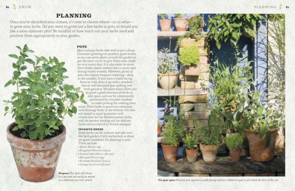 The Cook's Herb Garden: Grow, Harvest, Cook