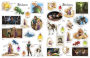 Alternative view 4 of Ultimate Sticker Book: Tangled: More Than 60 Reusable Full-Color Stickers