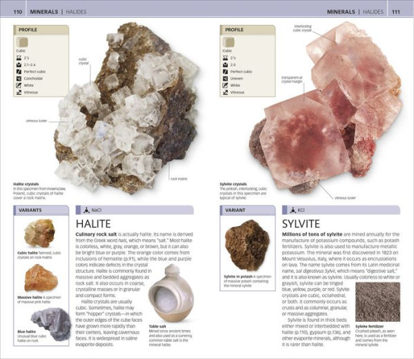 Nature Guide: Rocks and Minerals: The World in Your Hands