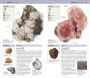 Alternative view 5 of Nature Guide: Rocks and Minerals: The World in Your Hands