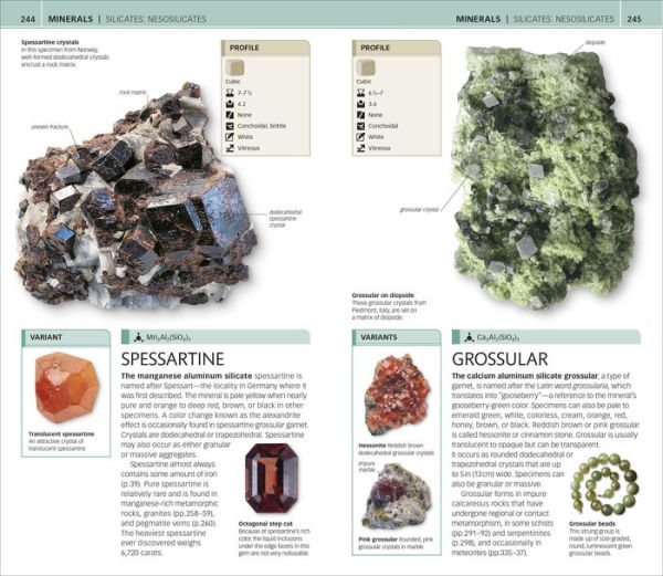 Nature Guide: Rocks and Minerals: The World in Your Hands