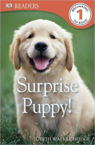 Title: Surprise Puppy (DK Readers Series Level 1), Author: Judith Walker-Hodge